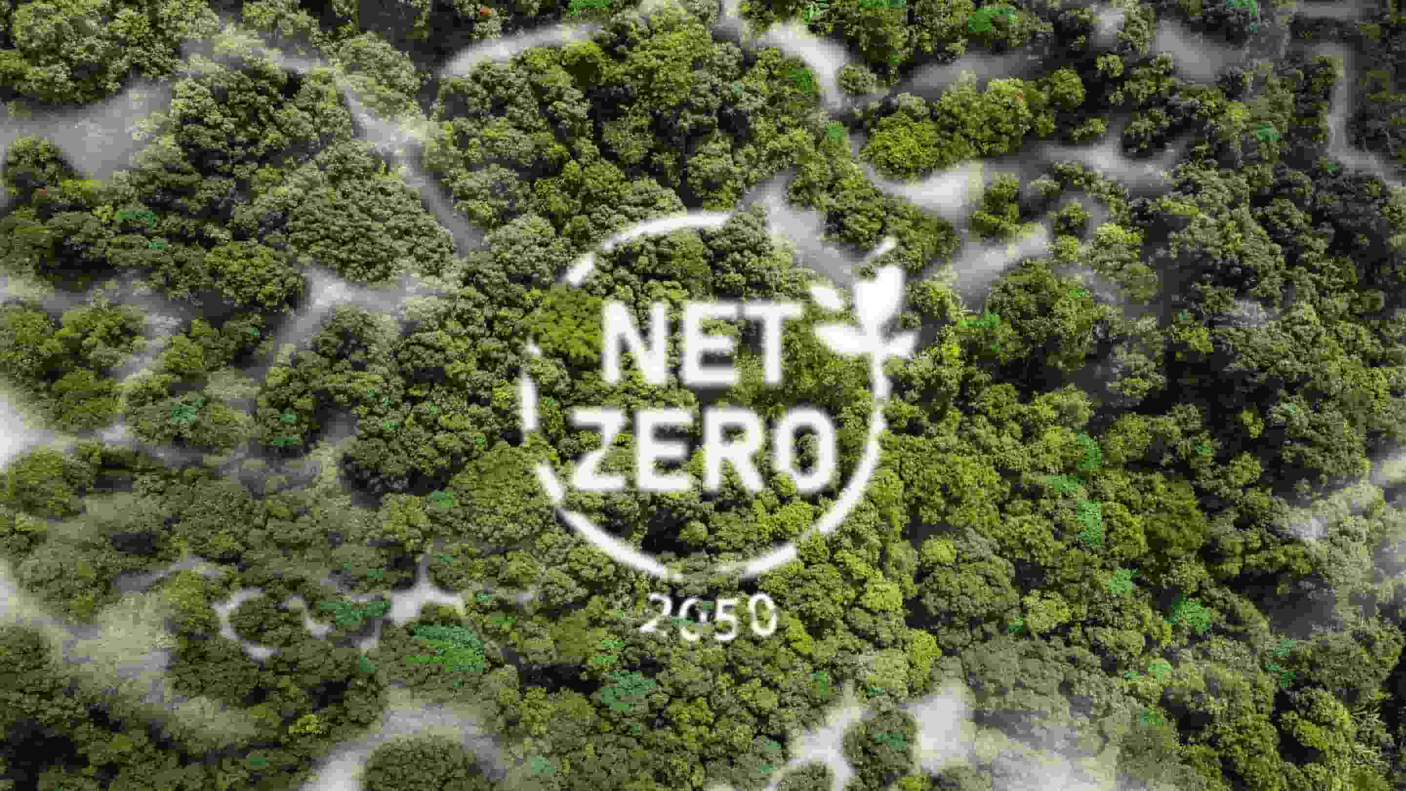 NetZero2050